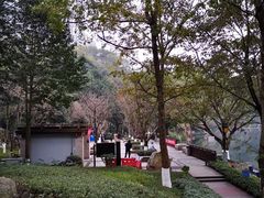 -重庆彩云湖湿地公园