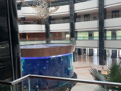 -OPEN開全日自助餐厅·牛肉火锅·海鲜(佛山希尔顿酒店)