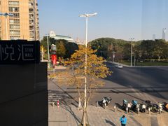 -品泰·泰国餐厅(苏州中心店)