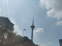 -中环花鸟鱼虫市场
