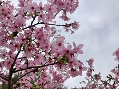 -福建鲤鱼洲酒店