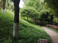 -龙头寺公园