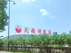 -天鹅湖体育公园