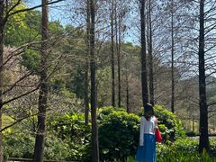 -云溪植物园