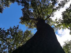 -黑龙潭风景区