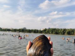 -长春市南湖公园