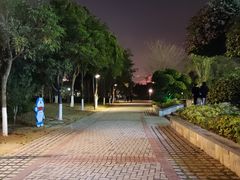 -龙江公园