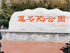 -莲花池公园