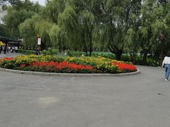 -长春市南湖公园