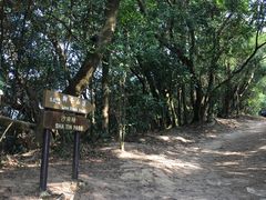 -狮子山郊野公园