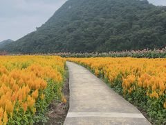 -广州市石门国家森林公园