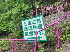 -帽儿山风景区