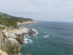 -广东惠东海龟国家级自然保护区