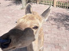 -水上乐园·欢乐世界