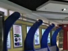 -上海昆虫博物馆