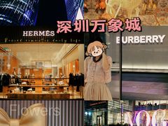 -深圳湾万象城