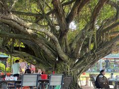 -侯臣咖啡文化村