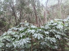 -云龙山