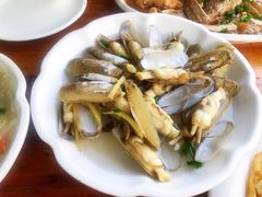 盐水蛏子-天天渔港海鲜酒家(石浦玉泉路店)