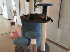 -Me Coffee下午茶艺术空间