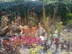-中国科学院西双版纳热带植物园