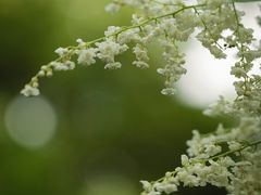 -环城公园