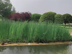 -郑州植物园