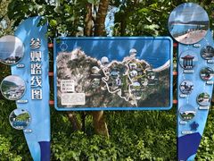 -广东惠东海龟国家级自然保护区