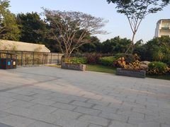 -仙岳公园