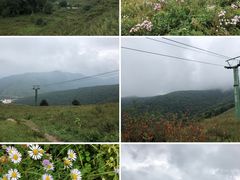 -灵山