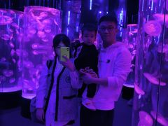 -成都浩海立方海洋公园