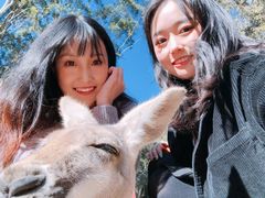 -可伦宾野生动物保护区