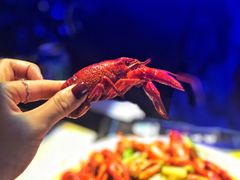 -西街夜油条·麻团包乌饭