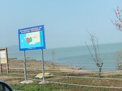 -香雪海