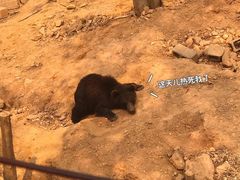 -泉州海丝野生动物世界