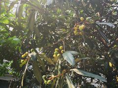 -太平桥南小区南区