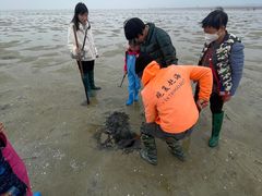 -北海金海湾红树林生态旅游区