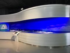 -龙阳路磁悬浮列车总站-停车场