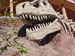 -世界恐龙谷景区