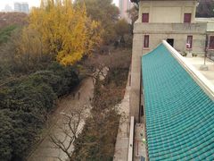 -武汉大学-樱园