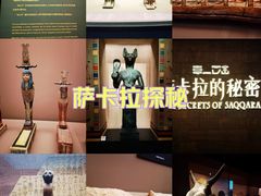 -上海博物馆(人民广场馆)