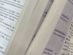 -JT PREP国际学科课程·IB·AP·Alevel(陆家嘴校区)