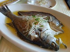 -扬州狮子楼·非遗淮扬菜(总店)