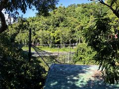 -海南槟榔谷黎苗文化旅游区