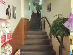 -瑞派雷欧宠物医院·24h夜诊·心脏骨科牙科·全科重症转诊中心(无影山店)