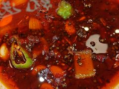 -杨氏青龙虾·羊蝎子(珠江路店)