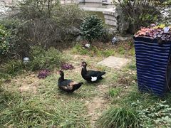 -祝家花園(伯渎港店)