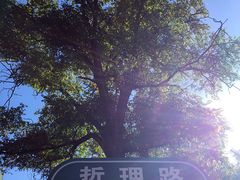-辽宁大学(崇山校区)