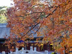 -香山公园