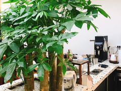 -Line 咖啡(石厦花园店)